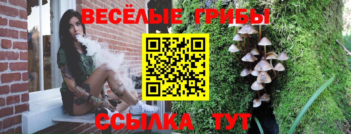Галлюциногенные грибы GOLDEN TEACHER  Вход с VPN  Кызыл 